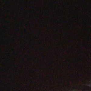 Meet your Posher, Landon